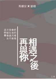 再与你相见什么歌词