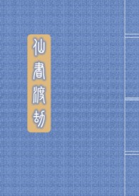 渡劫仙域定制版攻略