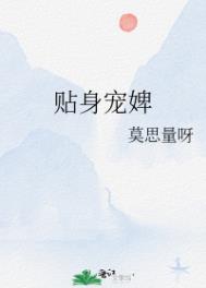 贴身婢女名字