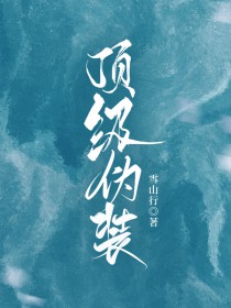 顶级伪装 雪山行 免费 小说