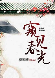 窥光小说介绍